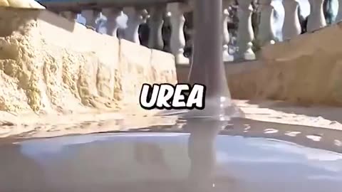 This grouting sealant cement is a one-stop fix