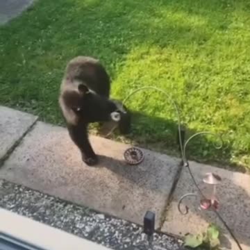 You gonna do something about this