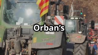 Orban vs. Zelensky EU Showdown!