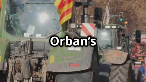 Orban vs. Zelensky EU Showdown!