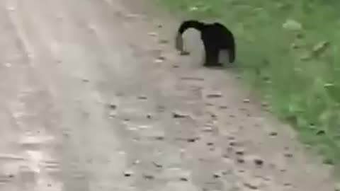 Falling Monkey