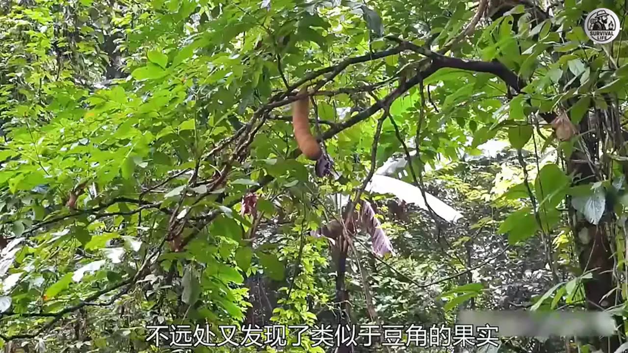 Building a Survival Base with Nonstop Remix