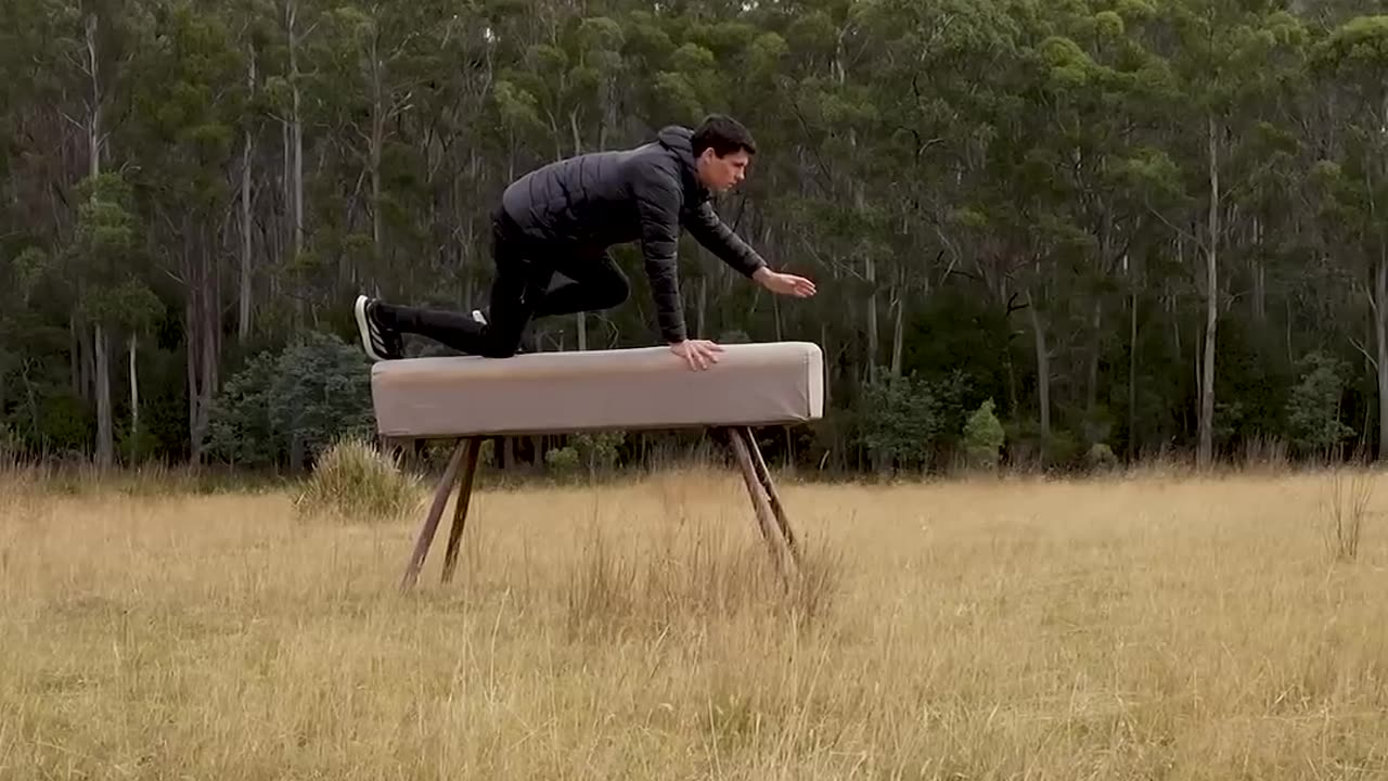 If animals glitched IRL