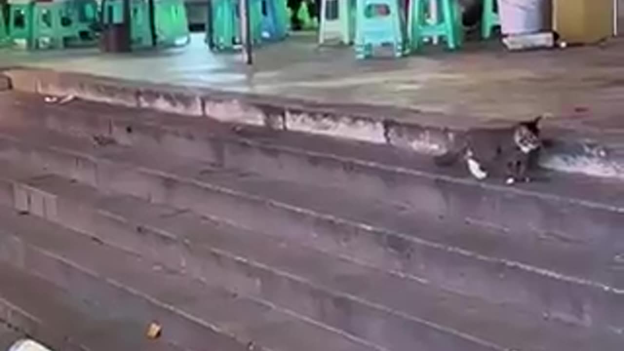 the moment he realised | funny video | crazy clips