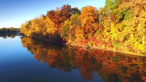 Cora Springs - Autumn Leaves