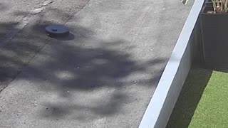 😱💻 This Epic Escape Plan Will Leave You Speechless! | FunFM