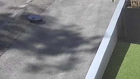 😱💻 This Epic Escape Plan Will Leave You Speechless! | FunFM