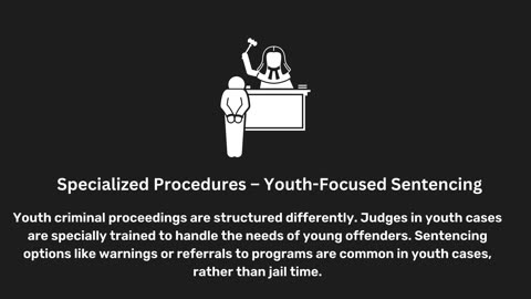 Differences Between the Adult and Youth Criminal Justice Systems