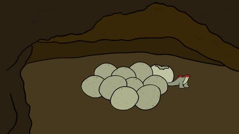 Why It Sucks to Be Born as a Komodo Dragon