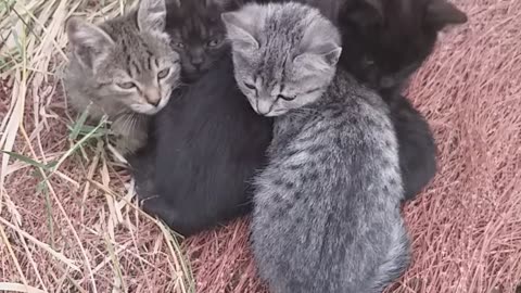 В ожидании чего-то!))