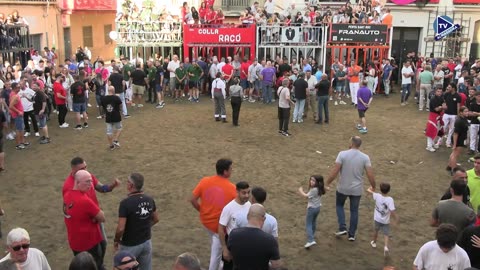 1 TORO TARDE 4oct AFANADO ganadería ZALDUENDO - FESTES DE ROSER 2025
