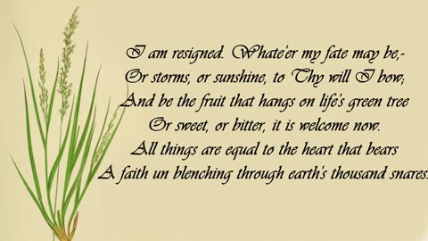 Grass - The Language of Flowers