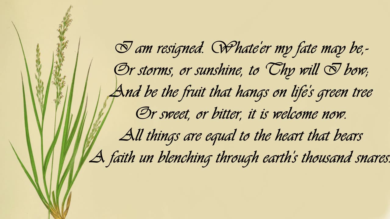 Grass - The Language of Flowers