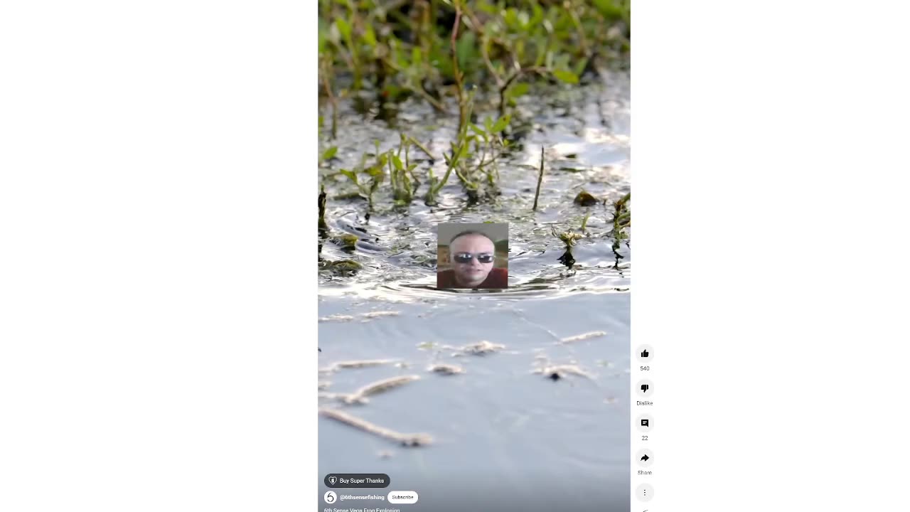 Harold takes the bait