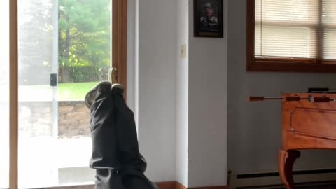 Exercising Everyday till I'm fit Day 14 #exercise #fitness