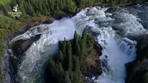 HYPNOTHERAPY RELAXATION MUSIC FOR STRESS, INSOMNIA, ELIMINATING NEGATIVE EMOTIONS & FEELINGS