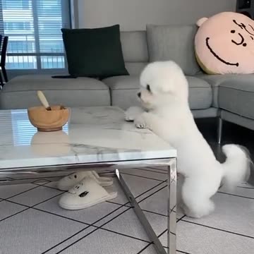 No pain no gain 🤣