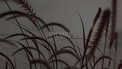 🙏✨ Friday's Prayer 09.19 | Focus on Gratitude & Start Your Day Blessed | InGodWeTrustDaily