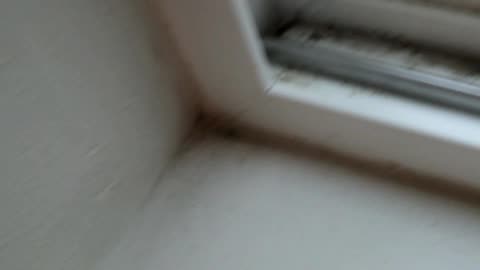 Lemon Scented Slime Buddies Car Cleaning Gel Putty Gadget Review