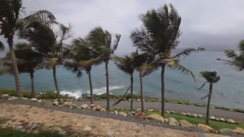 Democrats on the house oversight committee release more old and useless video of Epstein's island.