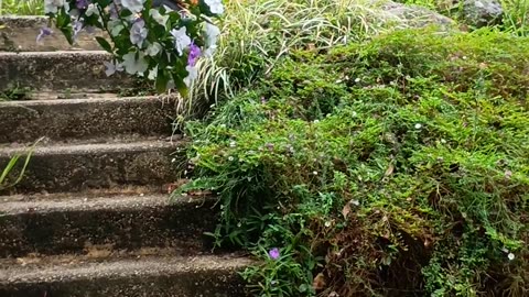 15.10.2025 1 Party Time