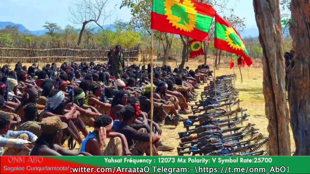 Gabaasa Tarkaanfii ONM-ABO Bitootessa 3-2025 itti dhiyaadhaa!