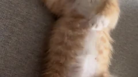 For your mood