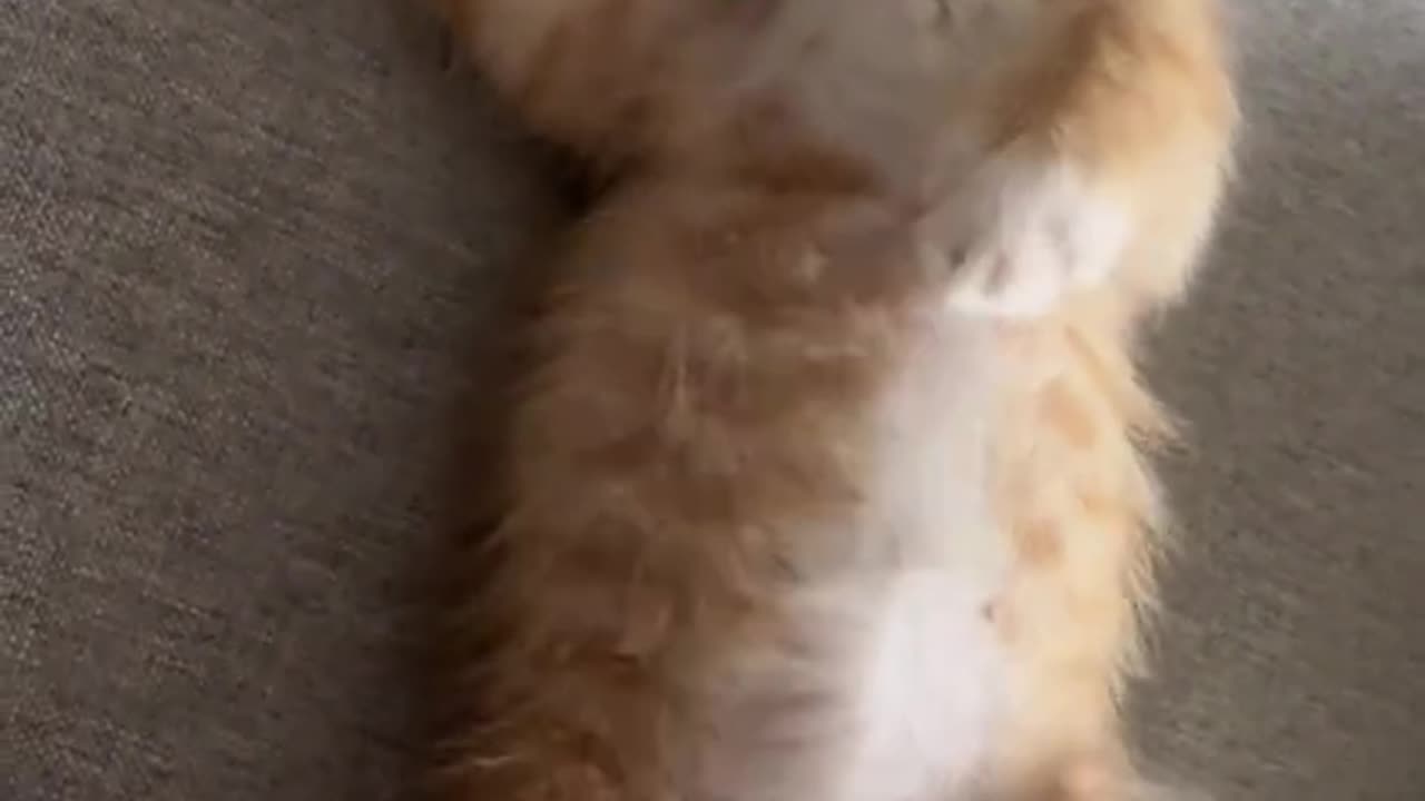 For your mood