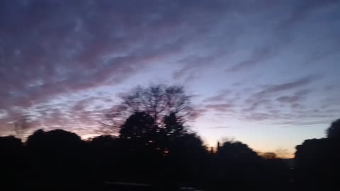 Tyler Robinson Did Something CRAZY & psychic reading of AI.