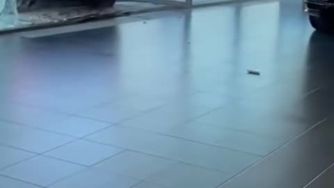 🚀💨 Experience the Thrill of Dubai's Luxury Cars! | LuxurySportsCars