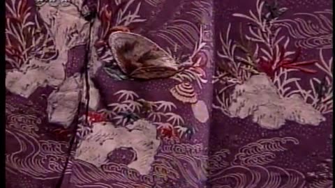 Japan NHK September 15, 2001 430pm-500pm JST