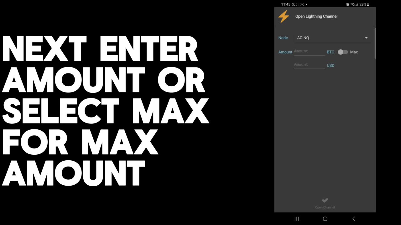 Electrum Mobile Wallet for Lightning Transactions
