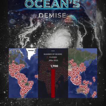 🚨 FLOOD'S STATISTICS!