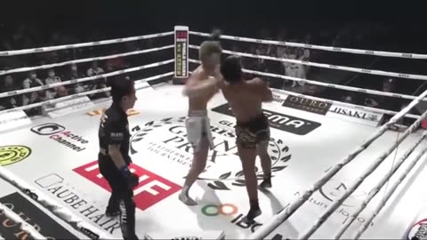 Brutal Knockouts That Shocked the Kickboxing World!