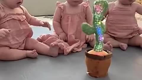 Triplets Cry At Talking Cactus Toy#funny baby