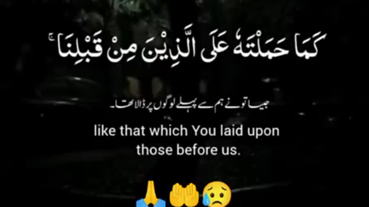 Beshak 💯♥️✨🕊️