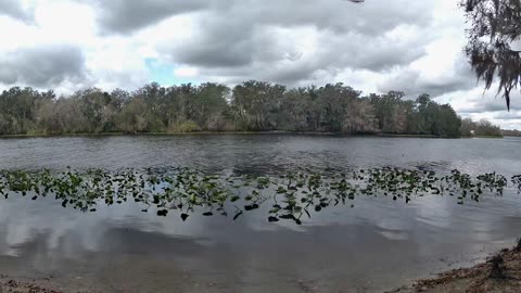 Riverview Time-Lapse: St. John’s Tranquil Tides (Jan 15, 2026)
