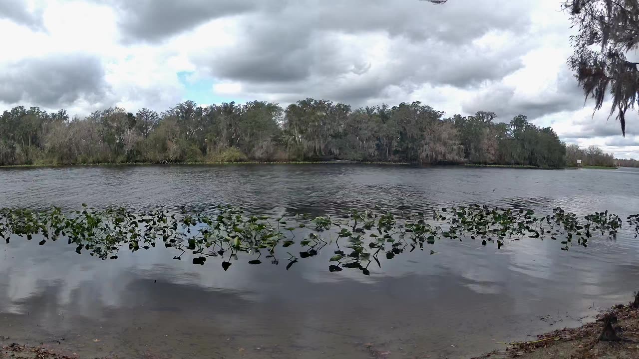 Riverview Time-Lapse: St. John’s Tranquil Tides (Jan 15, 2026)