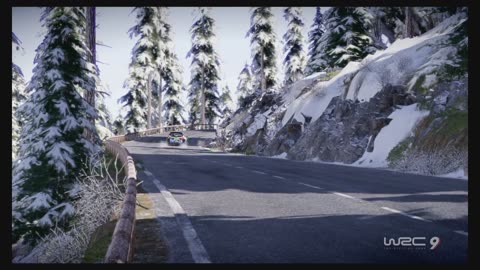 WRC9 (Ps5) Race1