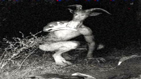 10 Creepy Cryptids