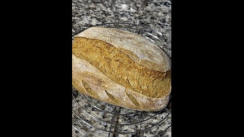 Sourdough Bread