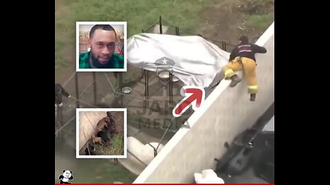 Compton pit bull breeder tragically mauled to death by his own dogs 😔 #Compton #BreakingNews #japd