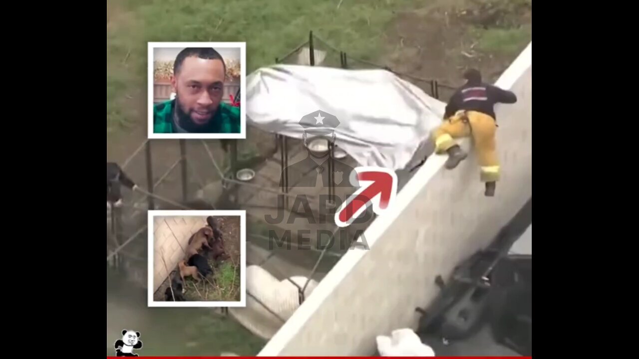 Compton pit bull breeder tragically mauled to death by his own dogs 😔 #Compton #BreakingNews #japd