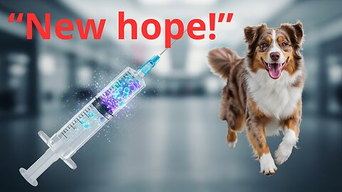 Nanotechnology Giving New Life to Elderly Dogs