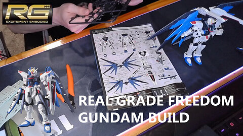 Completing Construction! Real Grade Freedom Gundam | Gundam Building