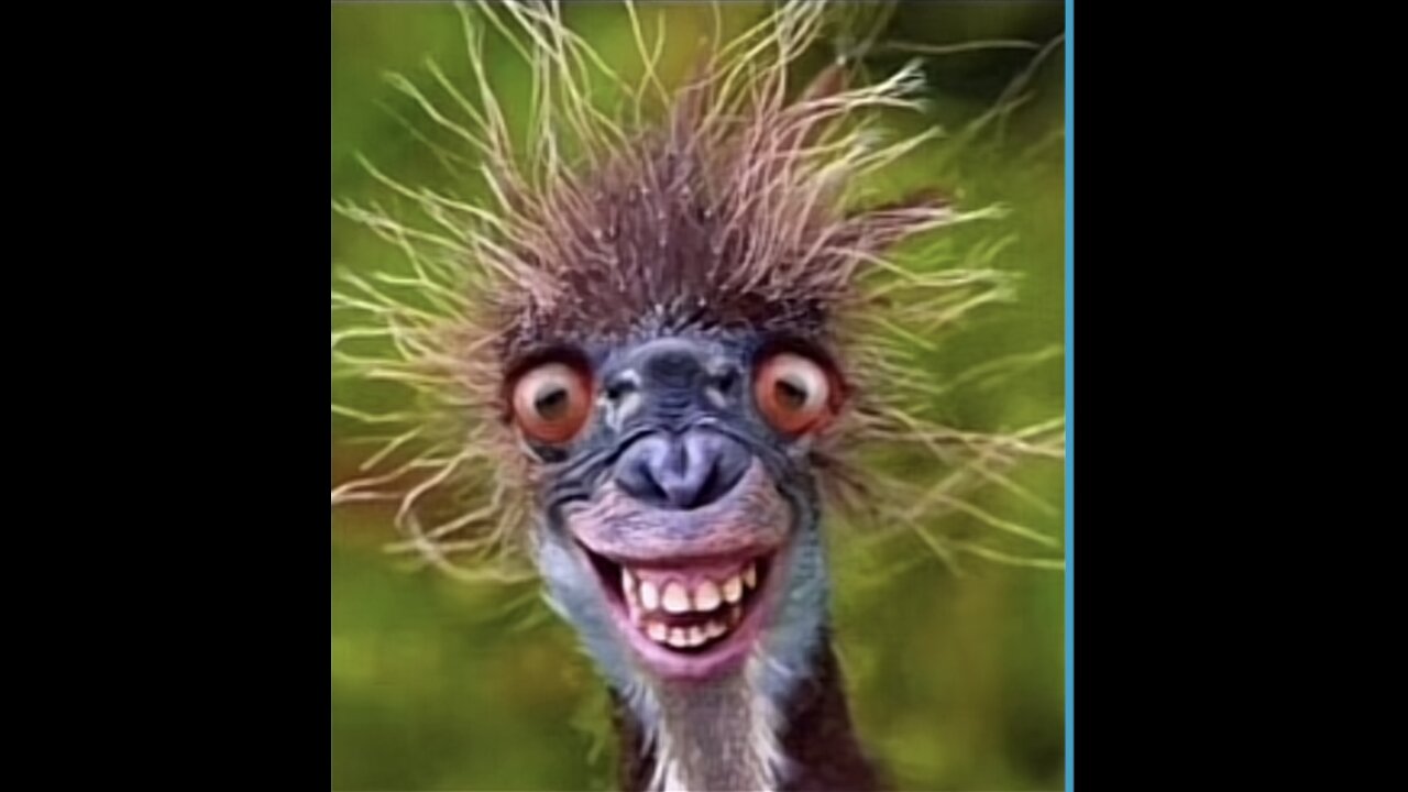 Younes Tiktok 34