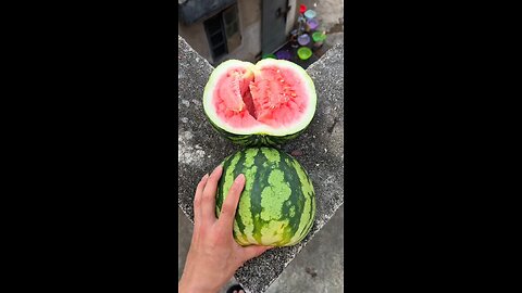 Watermelon 🍉 drop 😱