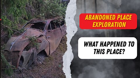 Exploring abandoned cars then a pigeon nearly gave me a heart attack!