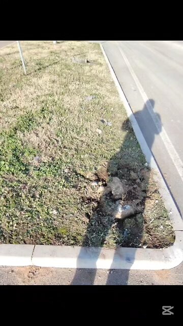 che succede a Magenta?