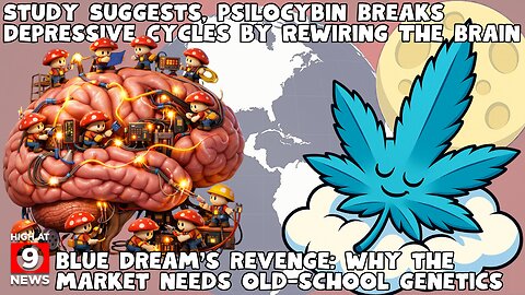 Trump confronts cannabis rescheduling rumors